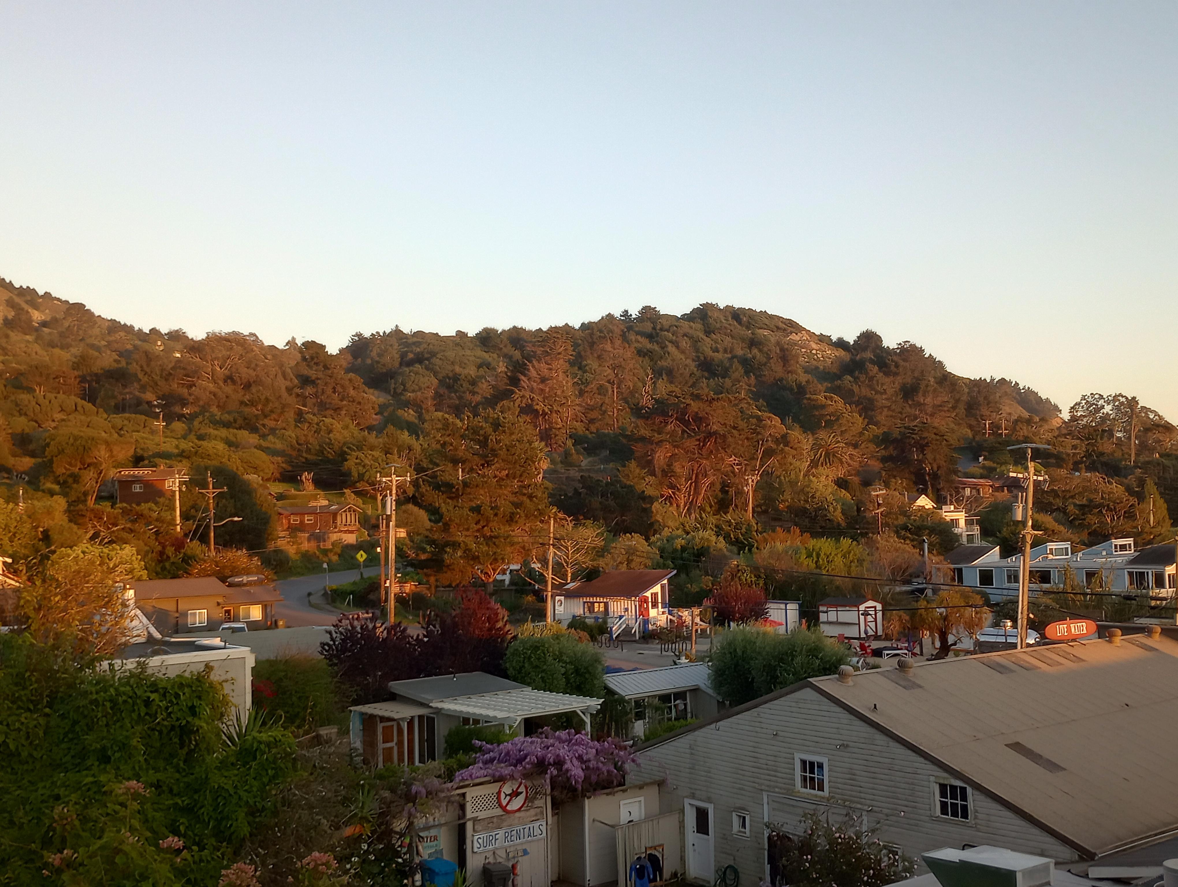 Looking up on Mt Tam!