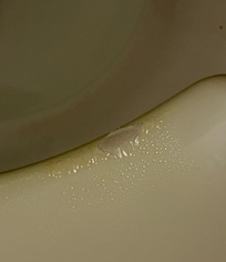 Toilet seat was dirty and damy