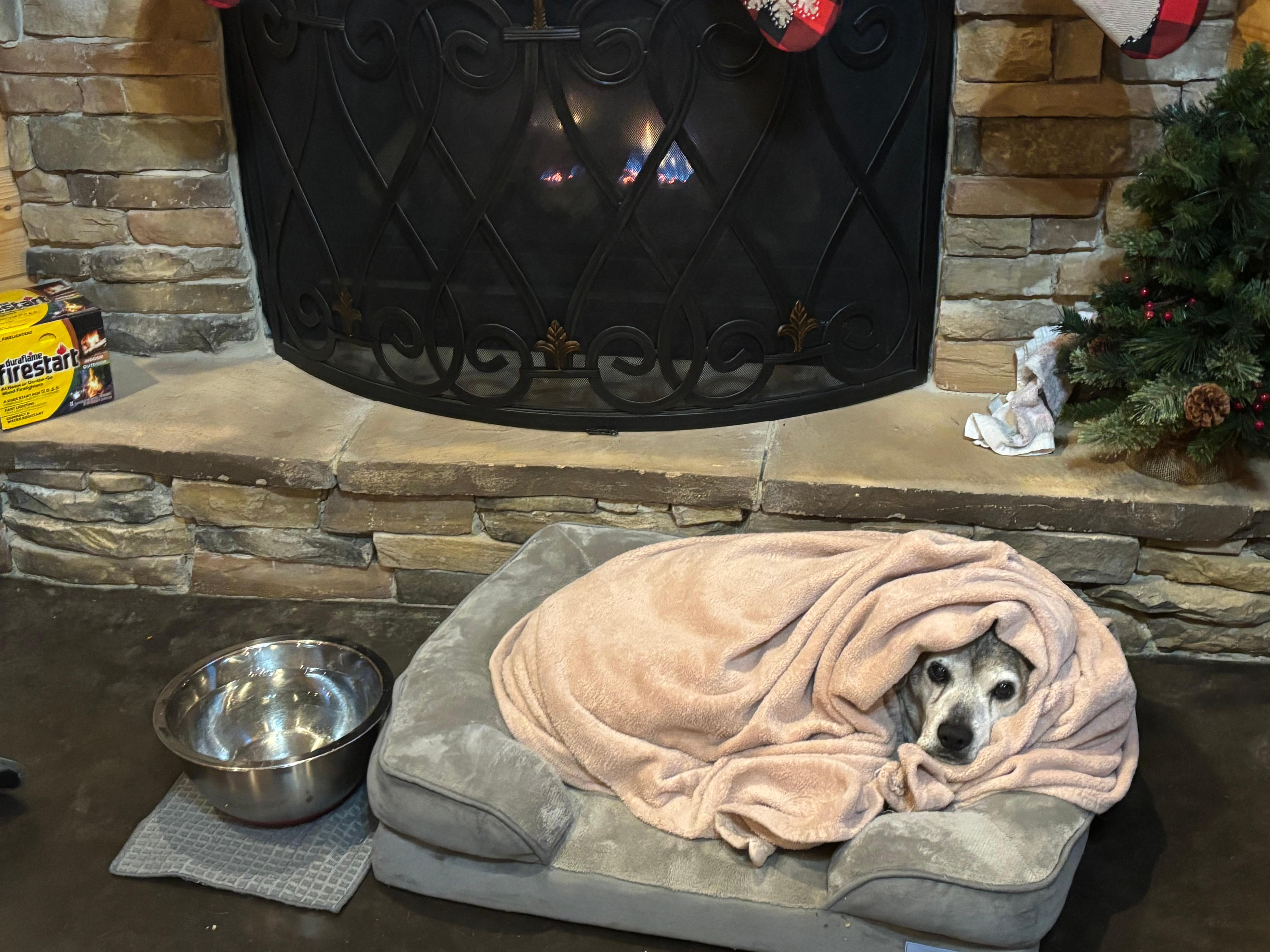 They even welcome you pet. My ole boy Brutus had a great time as well 