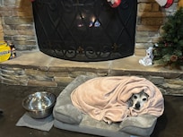 They even welcome you pet. My ole boy Brutus had a great time as well