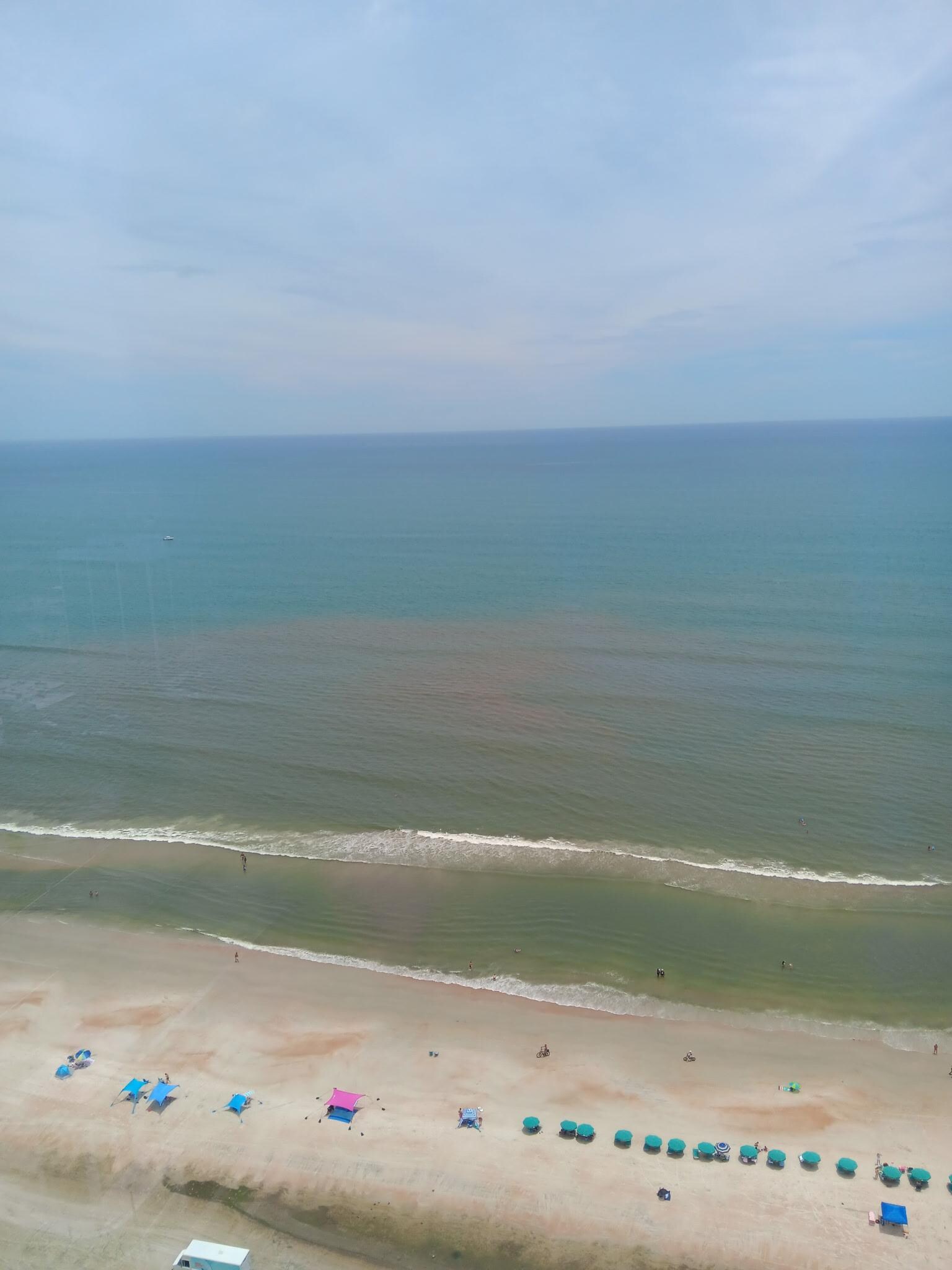 A view of the beach