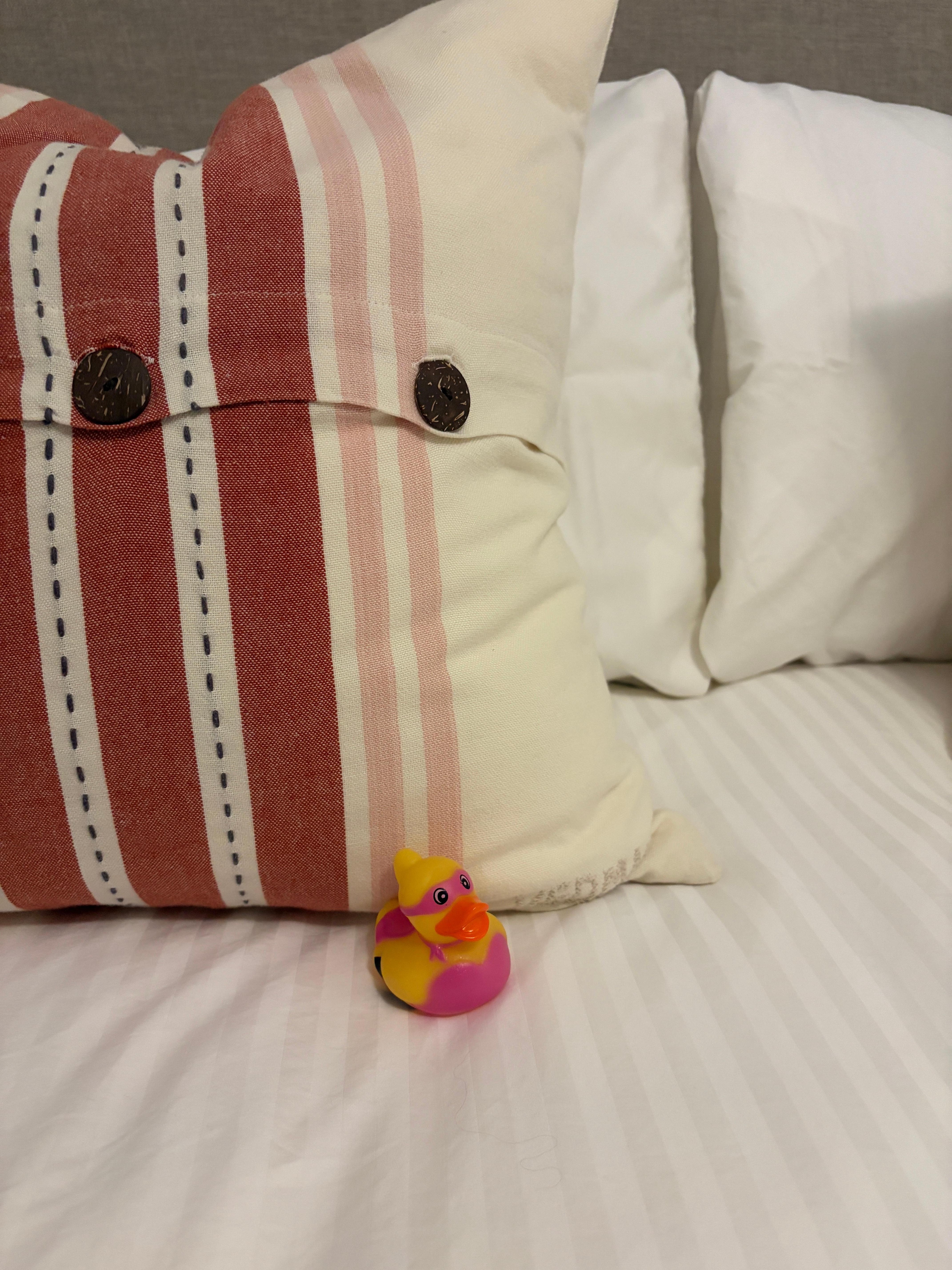 Primary bedroom is so comfortable 