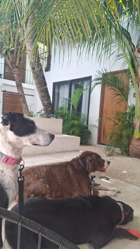Descansando despues de la playa