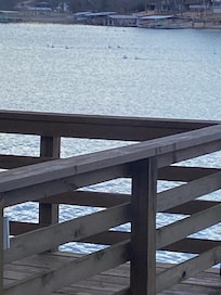 Watching wildlife on the water