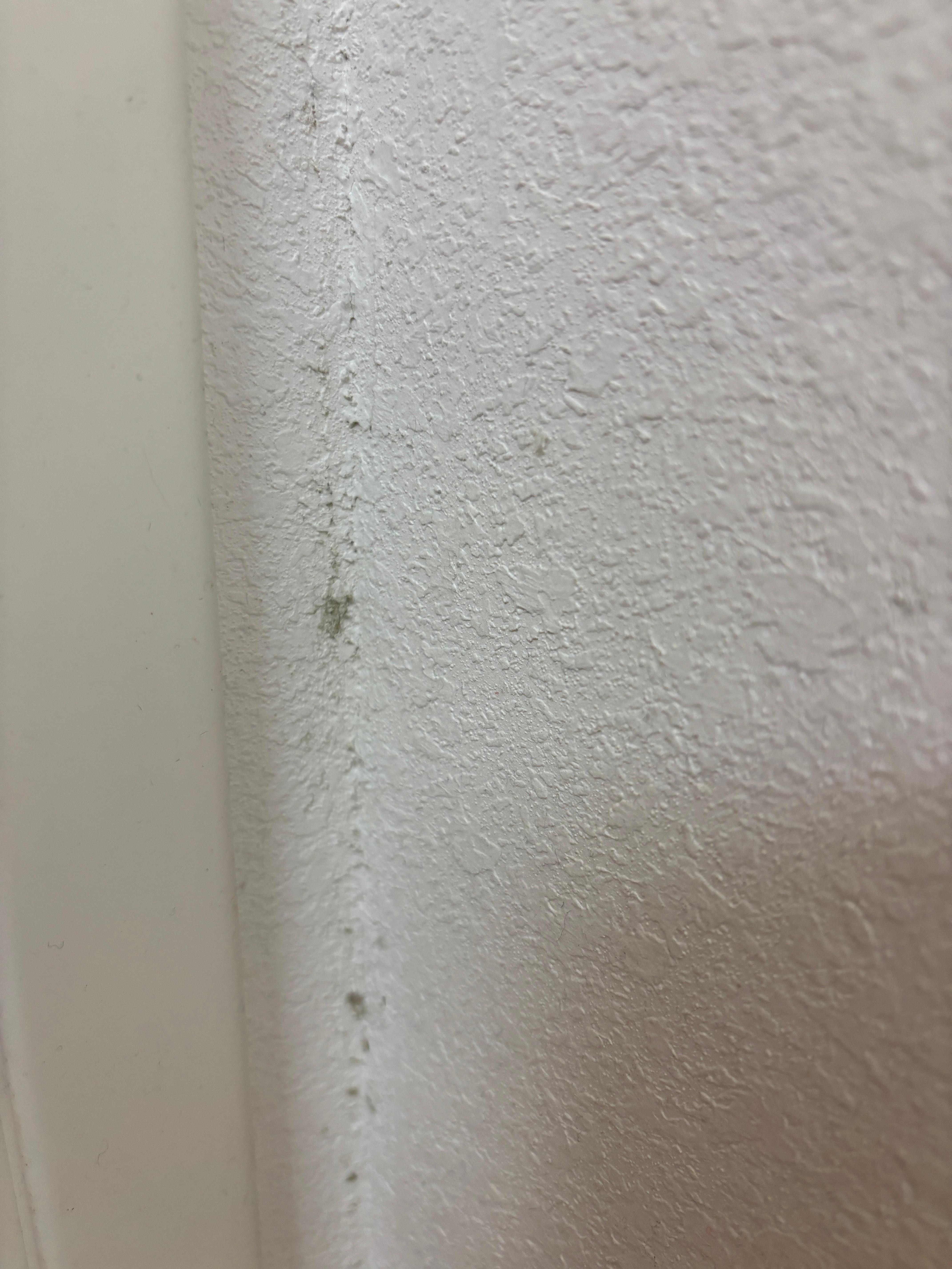 Mold