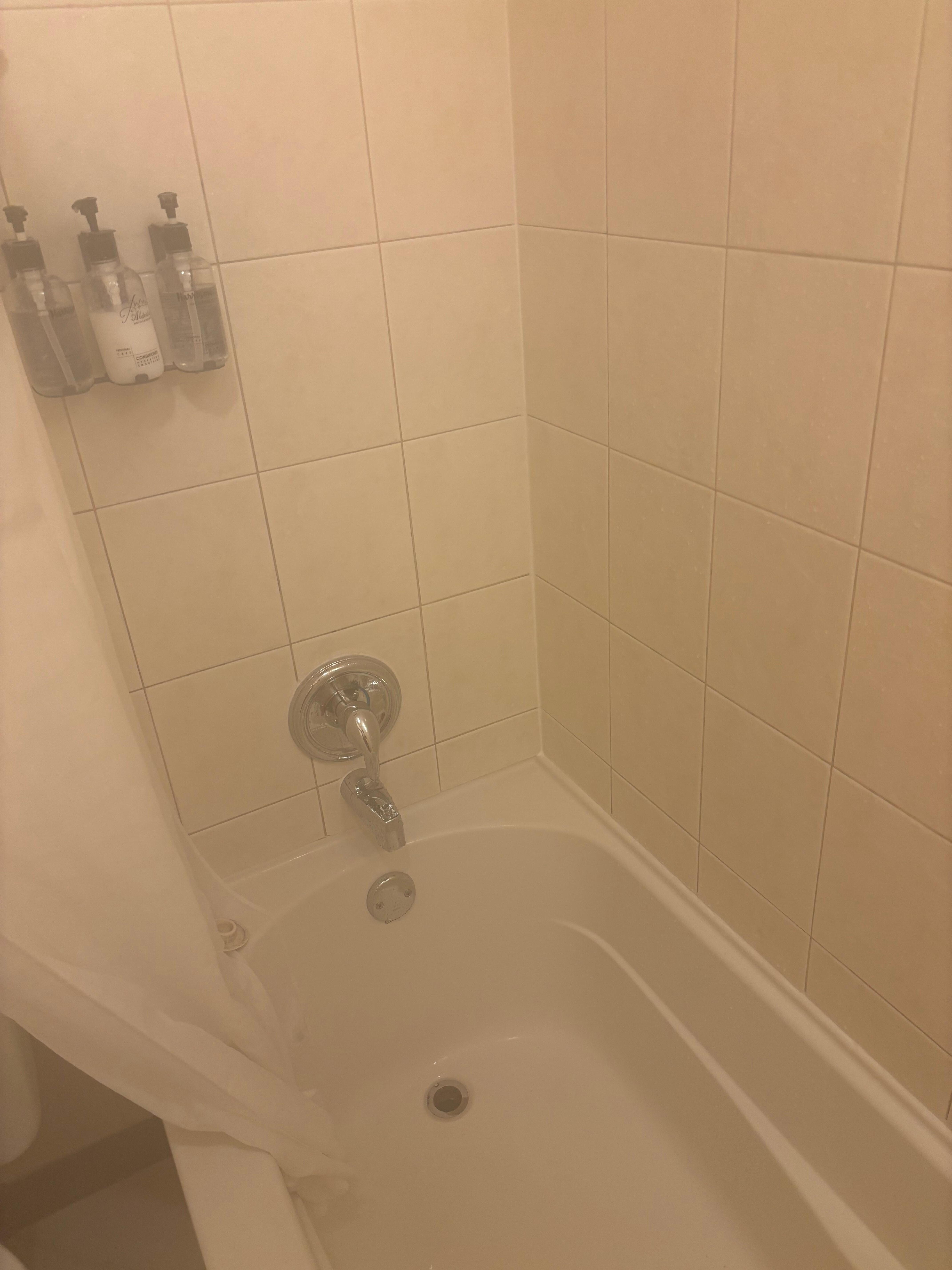 Mold under the drain plug, mold all over bath area. 