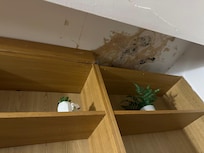 Mofo no teto quarto de cima