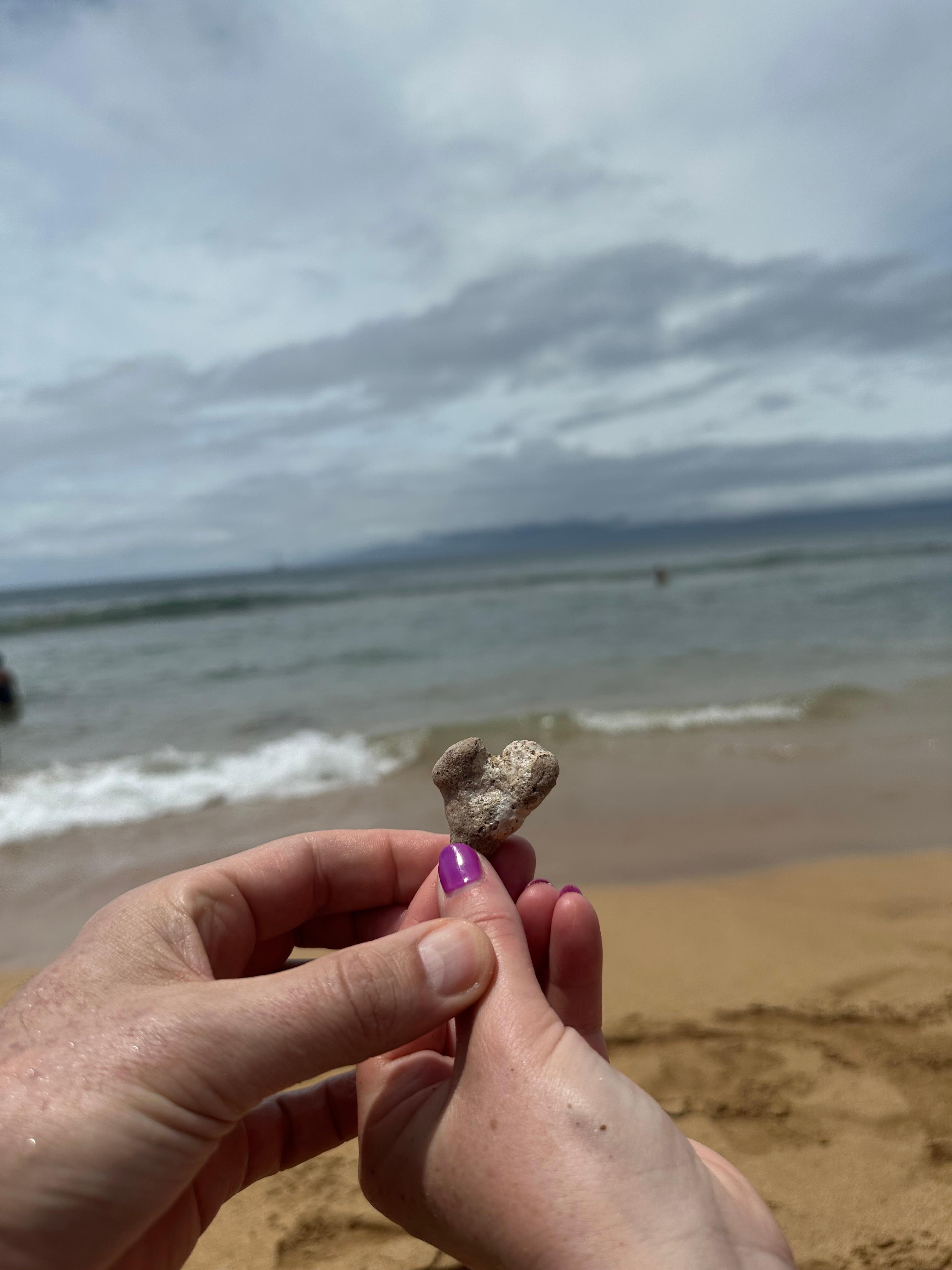 Beachfront at the resort. 