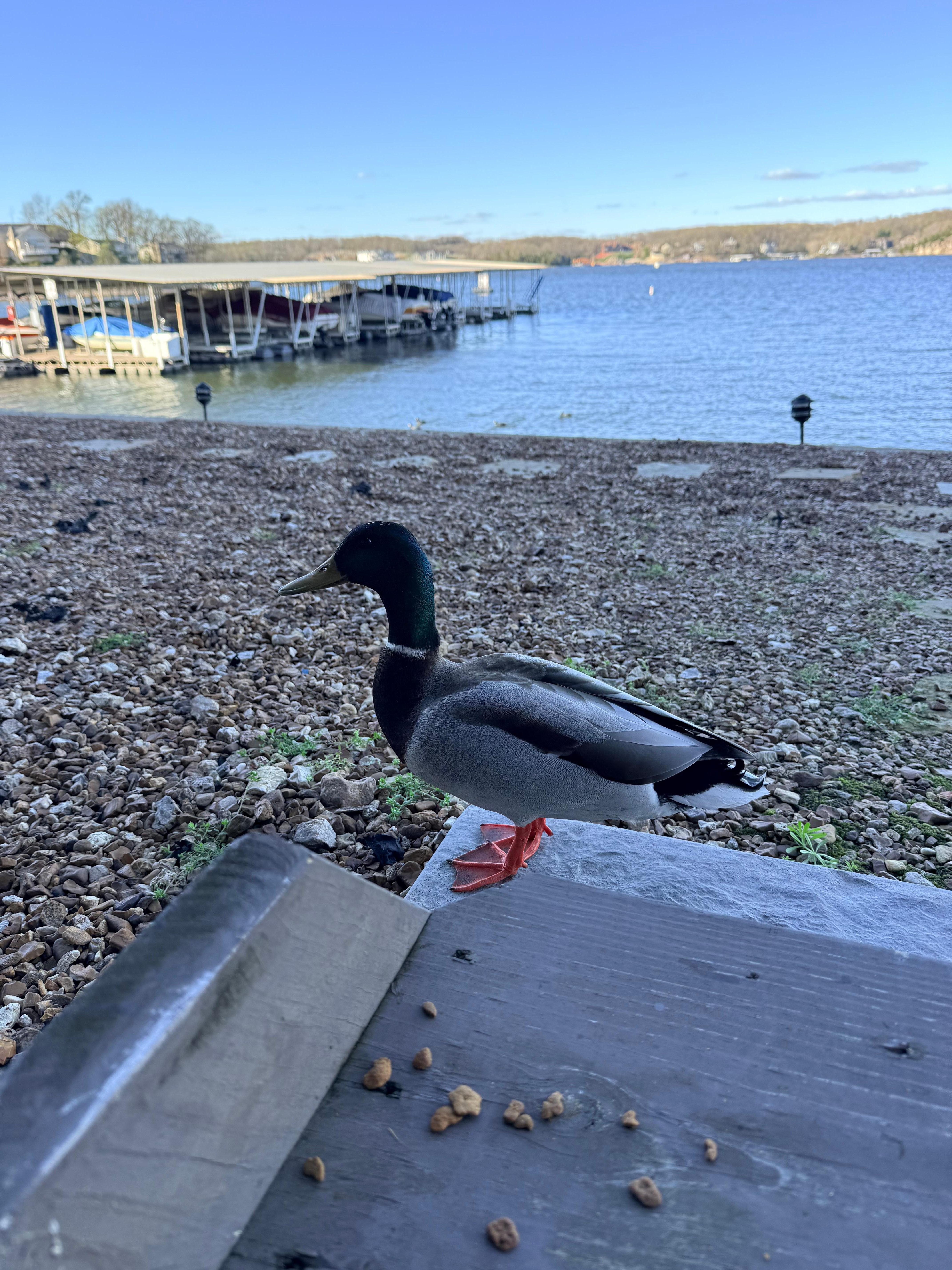 We made a new friend! 