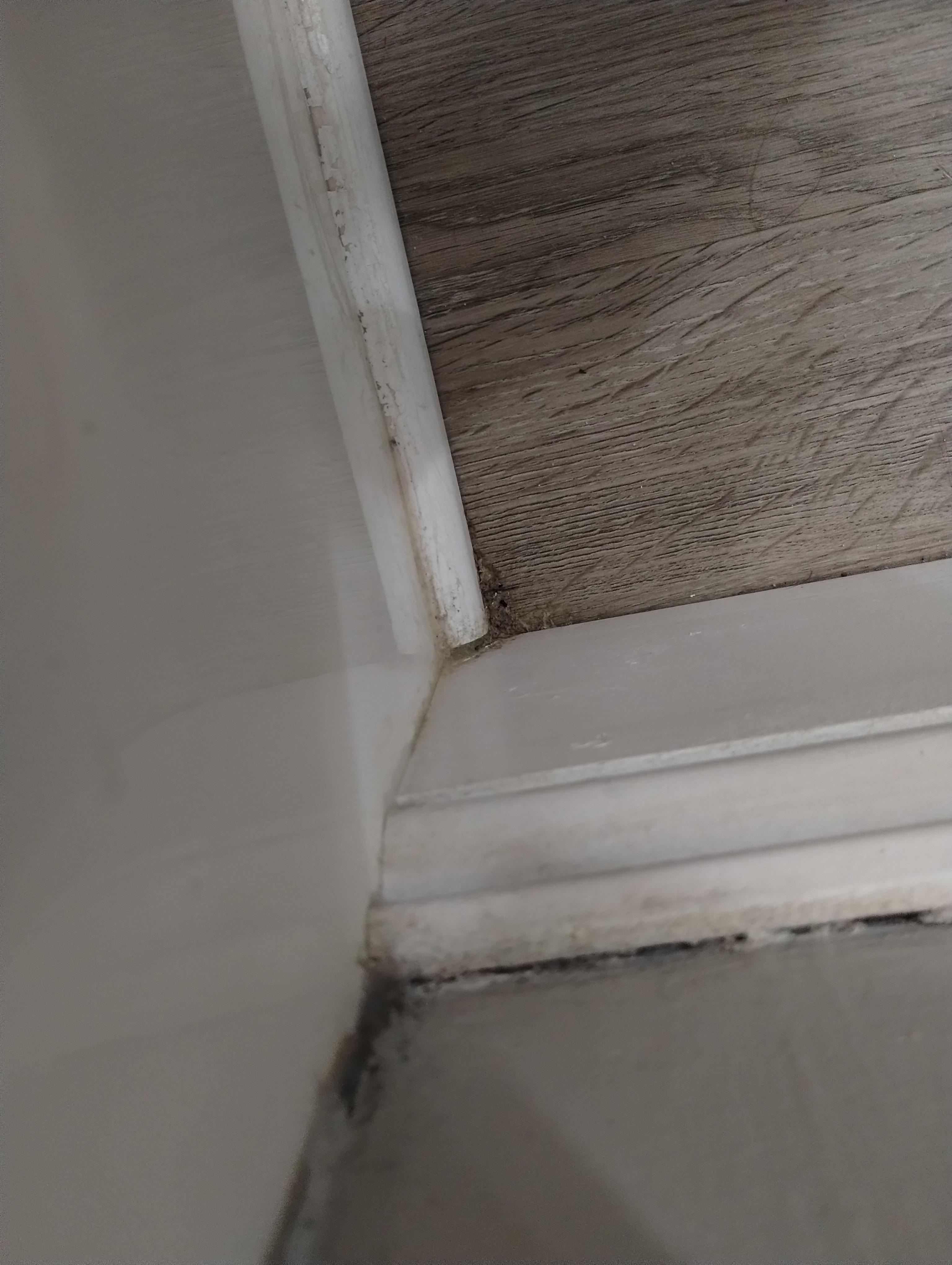 Floorboards and the vents are full of dust and grime I have many other photos but this was the max limit.  