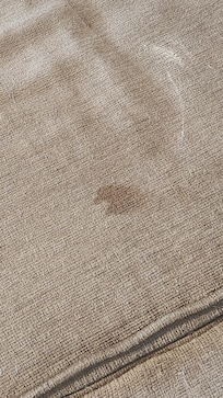 Stains on the couch