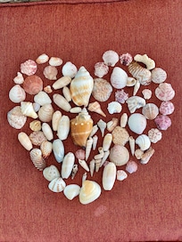 Shelling was our favorite pastime. 🐚