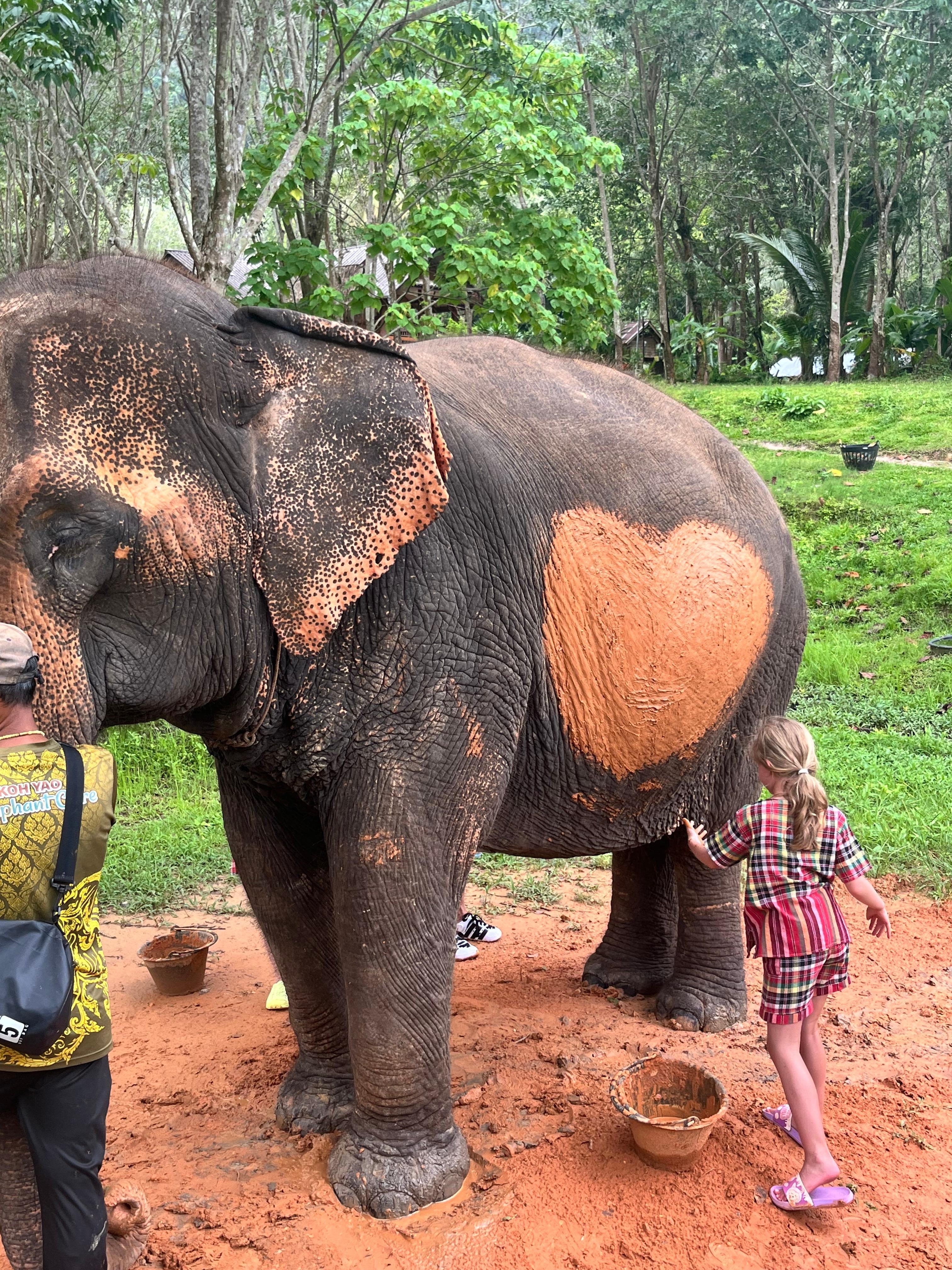 Éléphant Care > on a vraiment aimé ! 