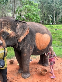 Éléphant Care > on a vraiment aimé !