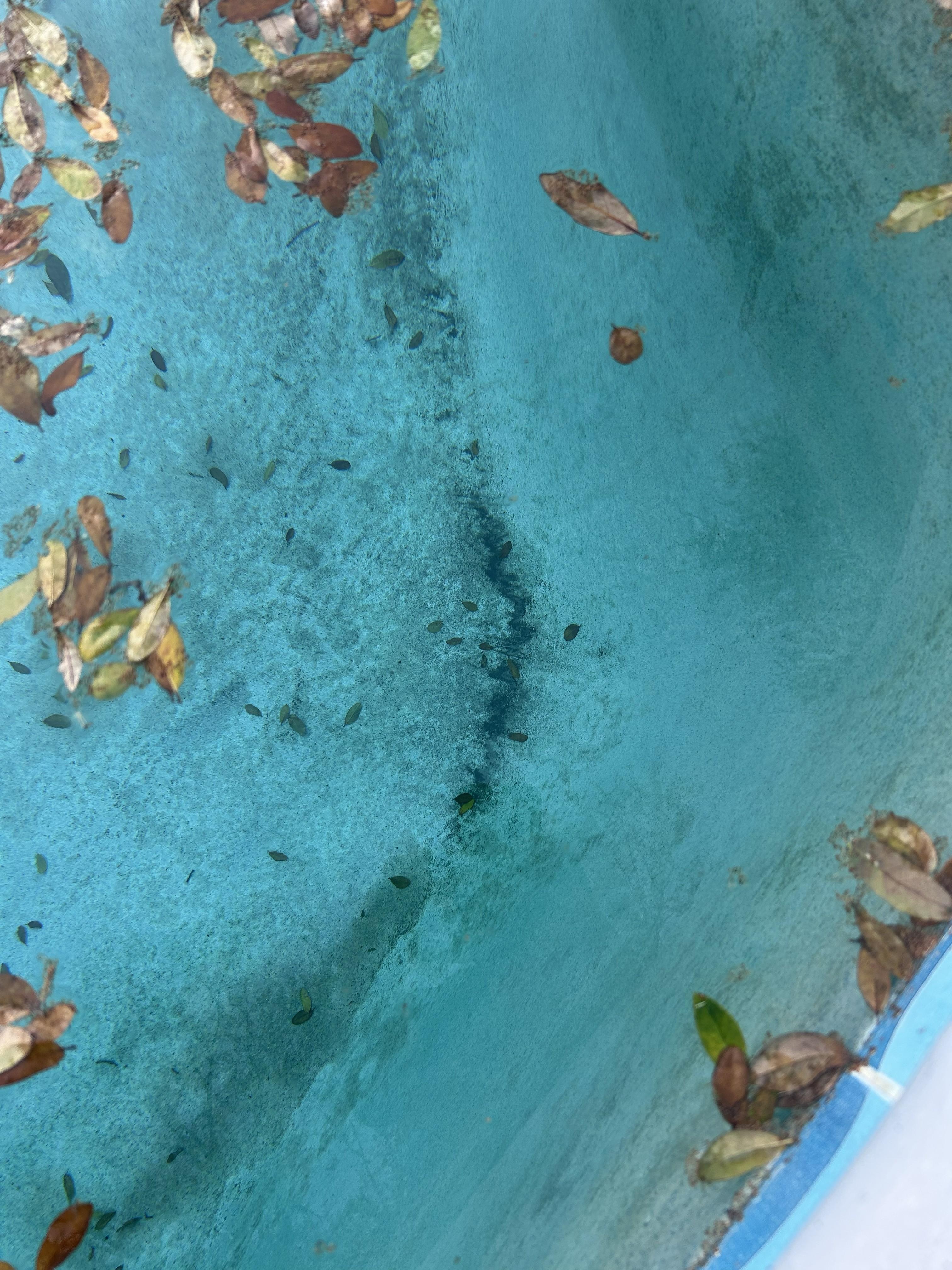 24 hours after the pool cleaning and this is what the results were.