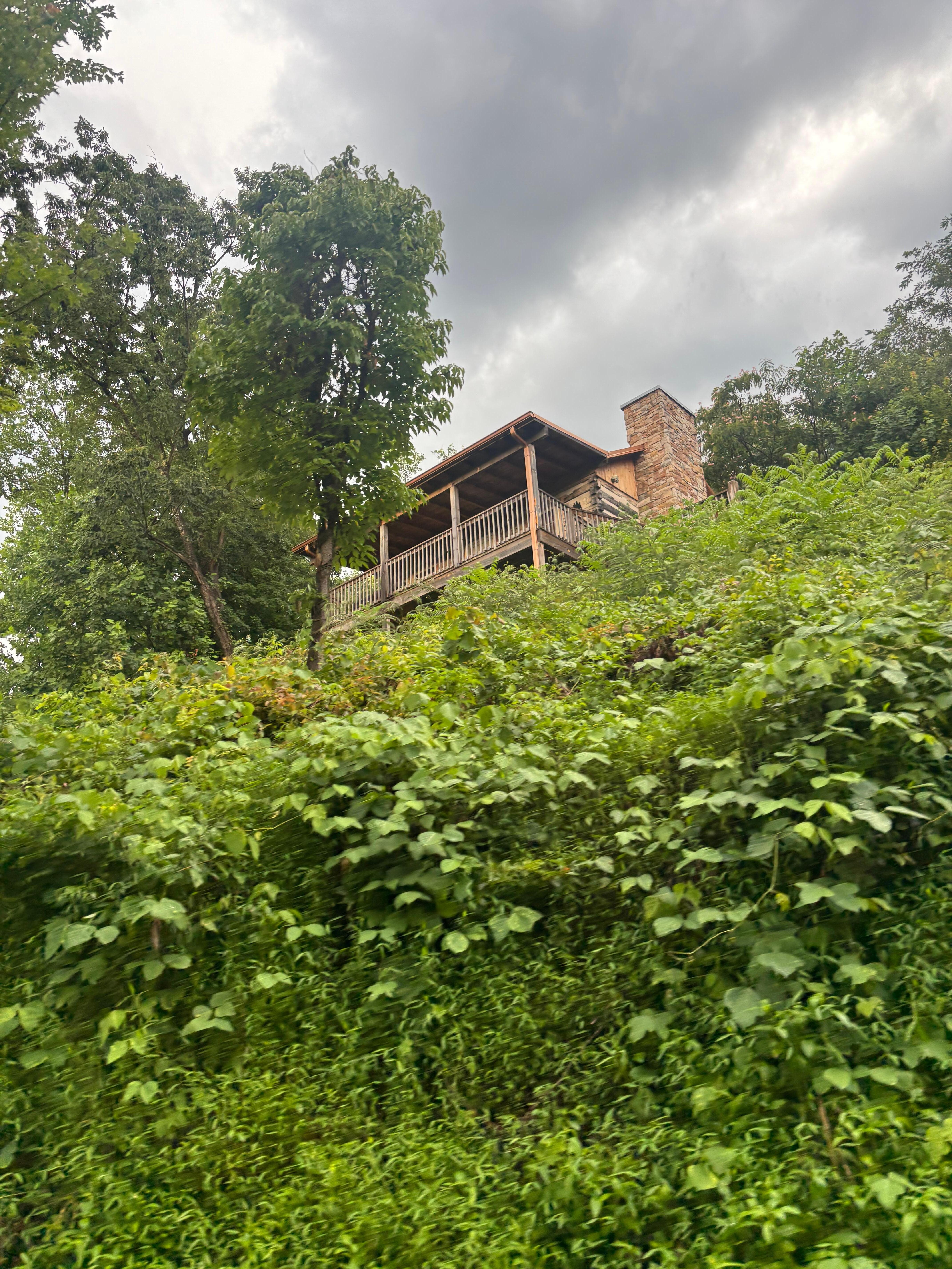 cabin at top of hill