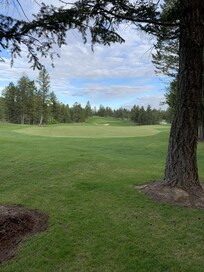 The golf course