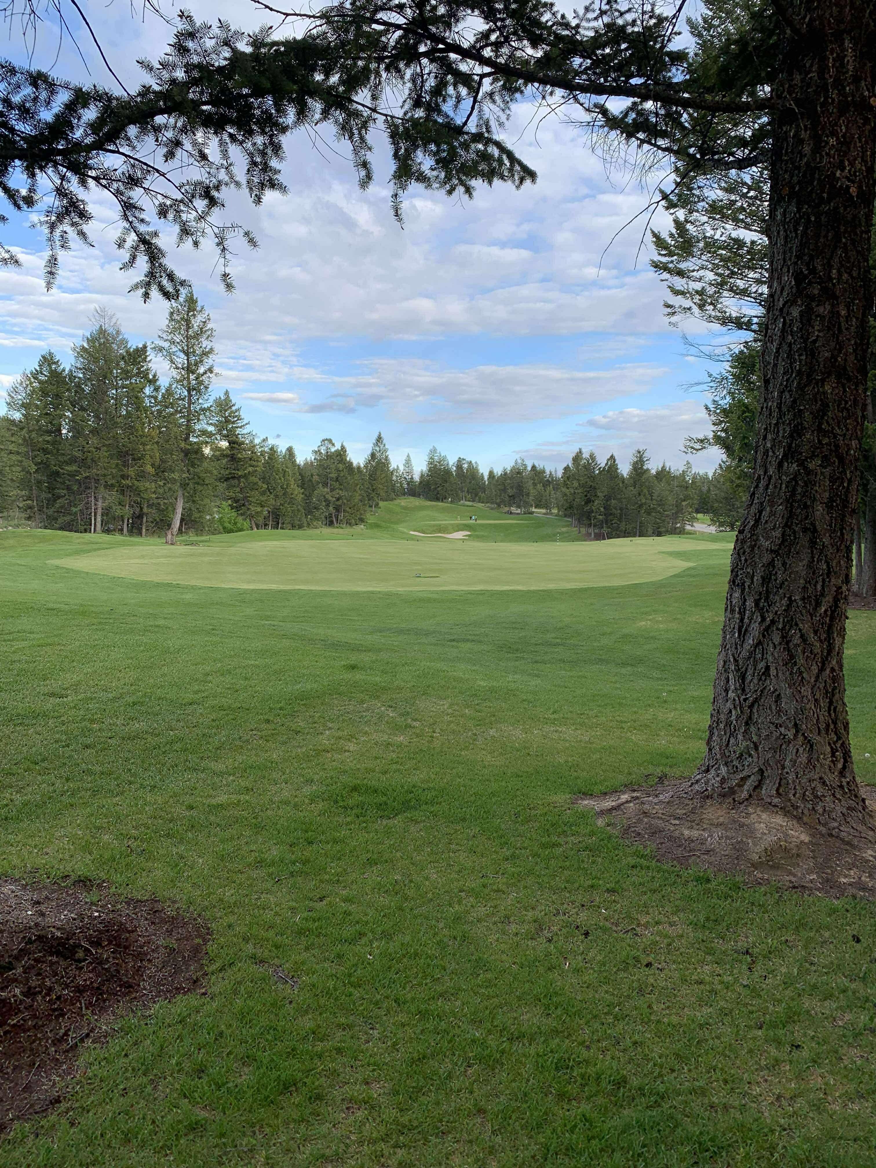 The golf course
