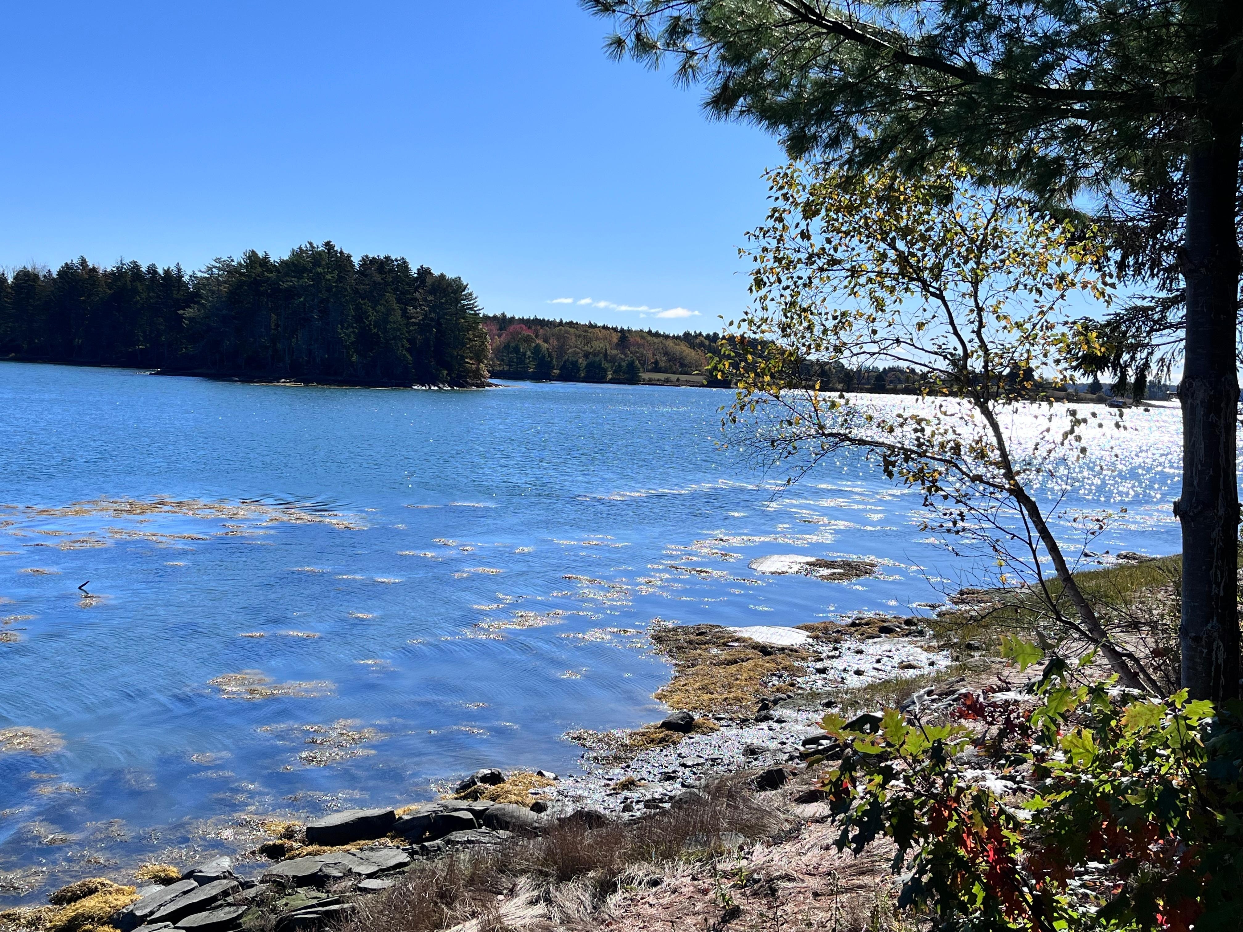 View toward south of cove
