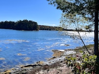 View toward south of cove