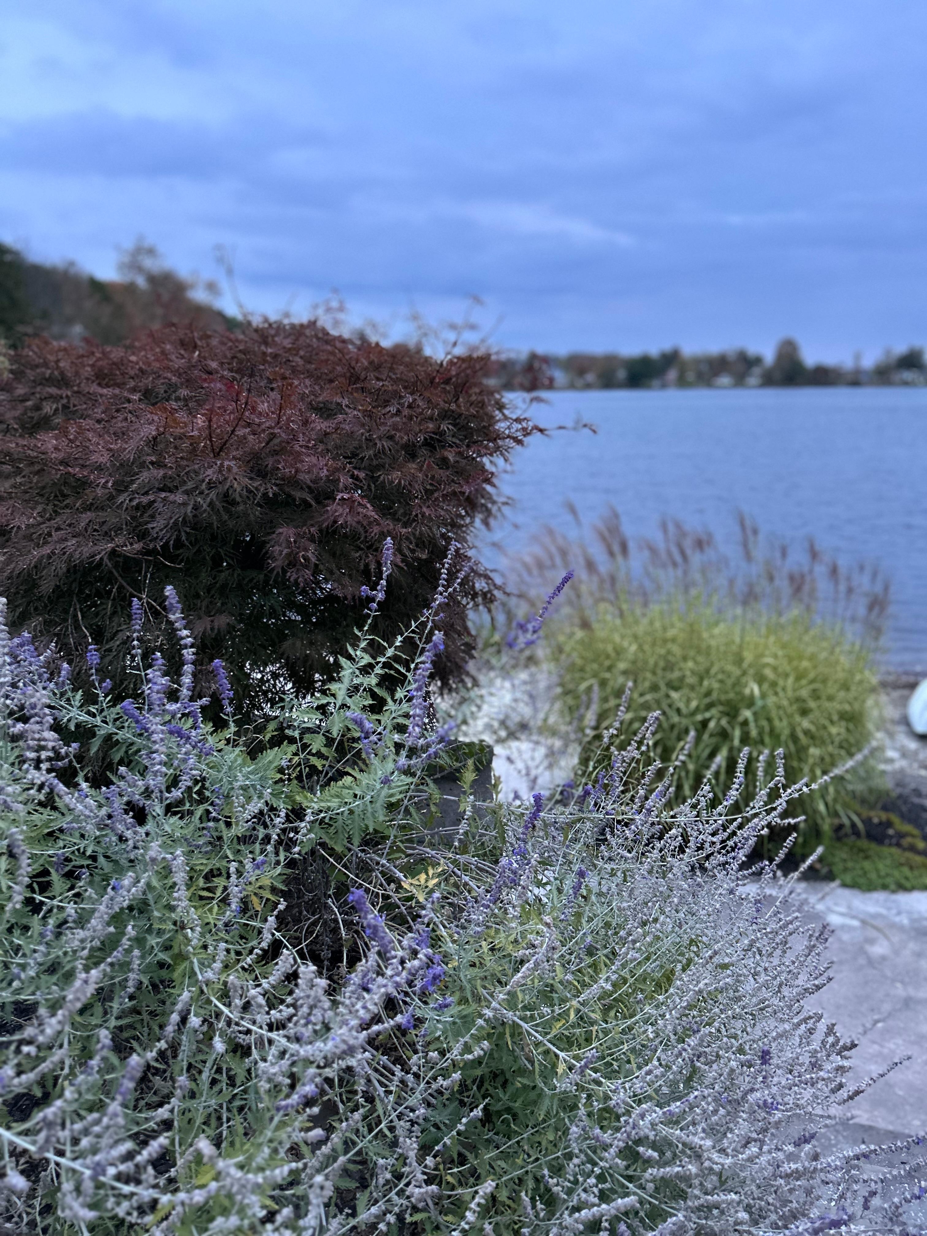 Morning over Heart Lake