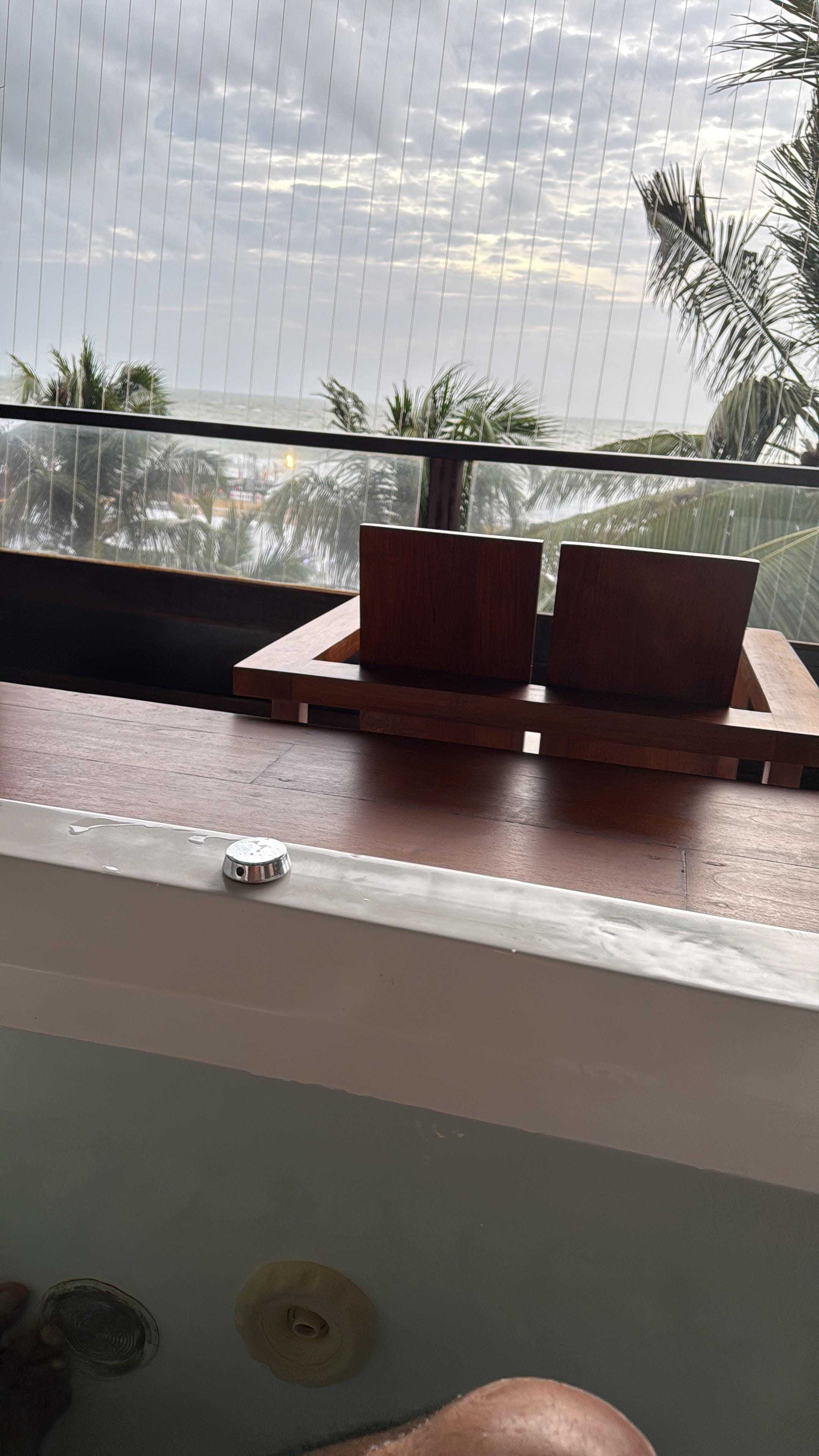 Sea view from jacuzzi tub 