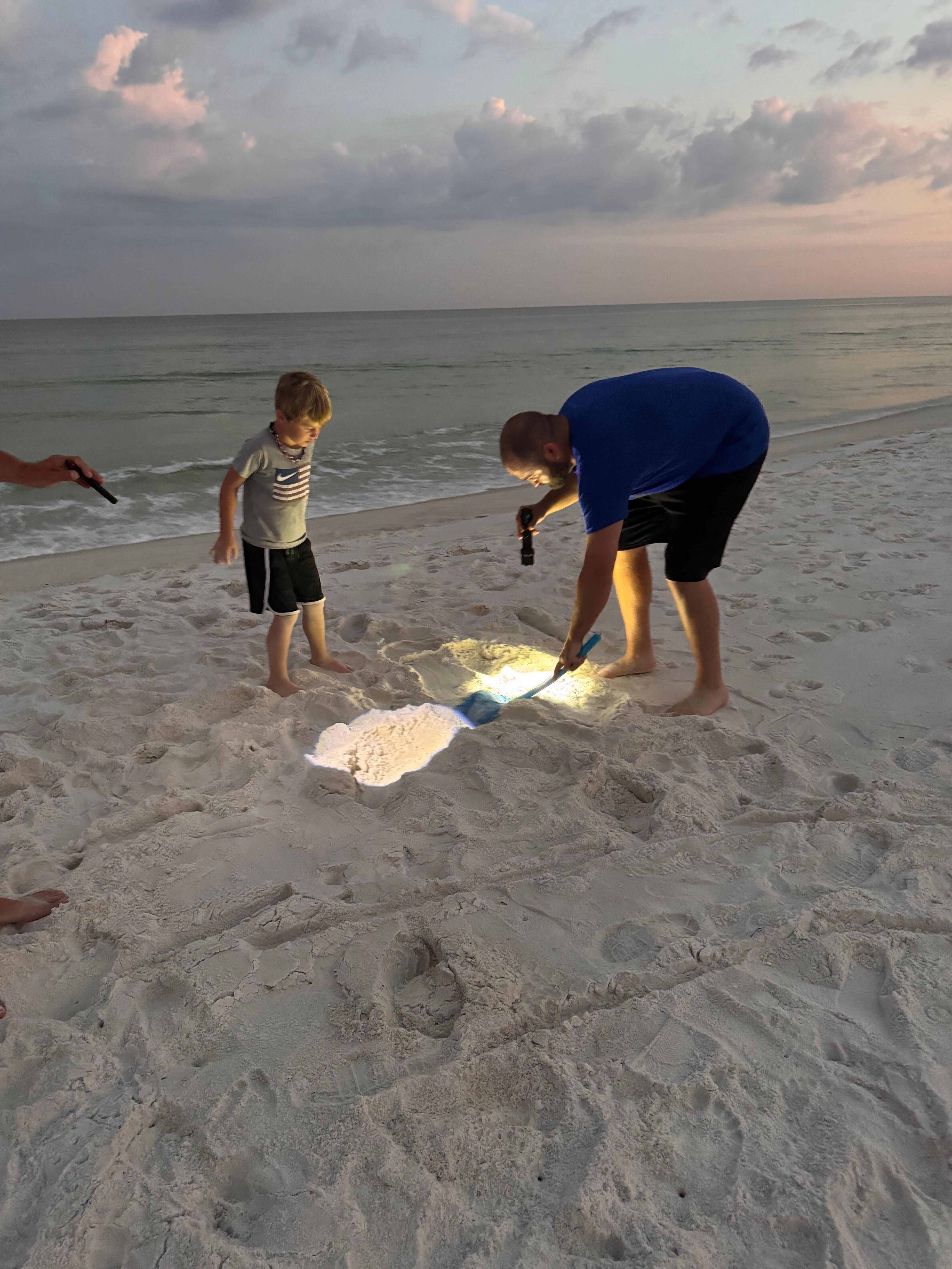 Crab hunting 