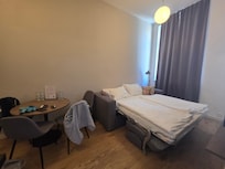 Living room with fold out bed