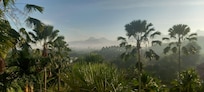 Morning view from the balcony