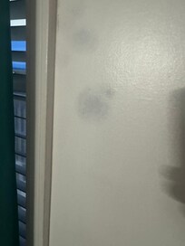 Mold coming thru paint