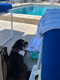 Kilo lounging by the pool with mom