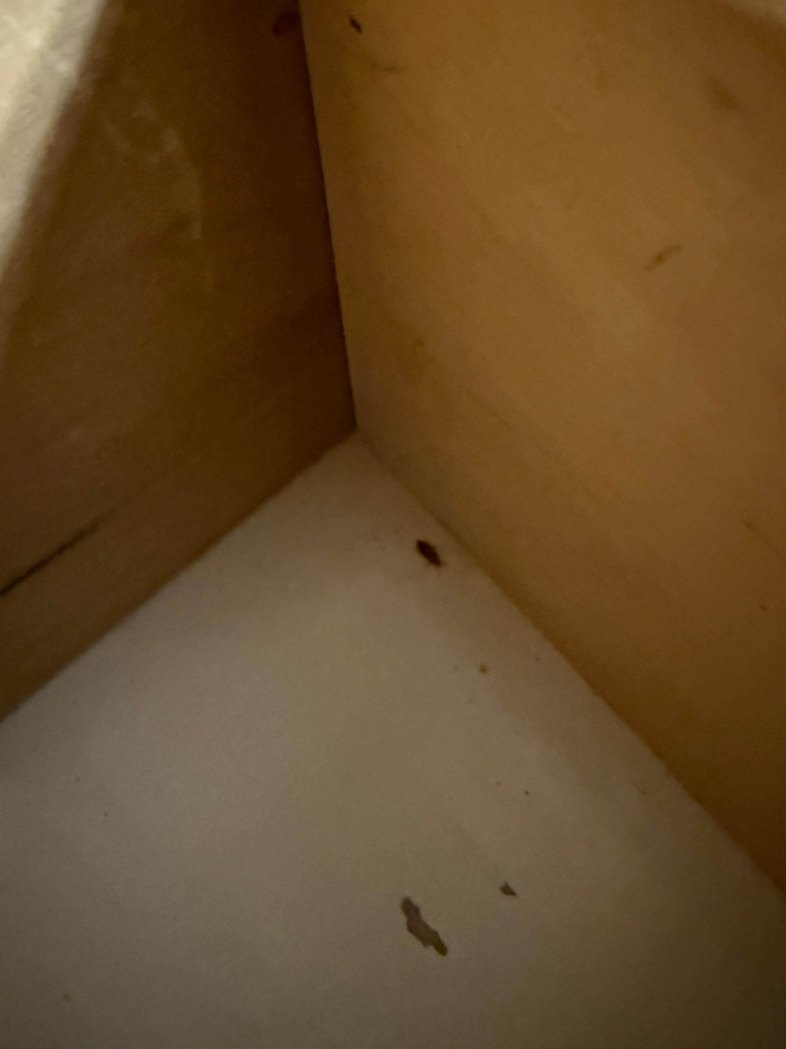 There were at least a dozen