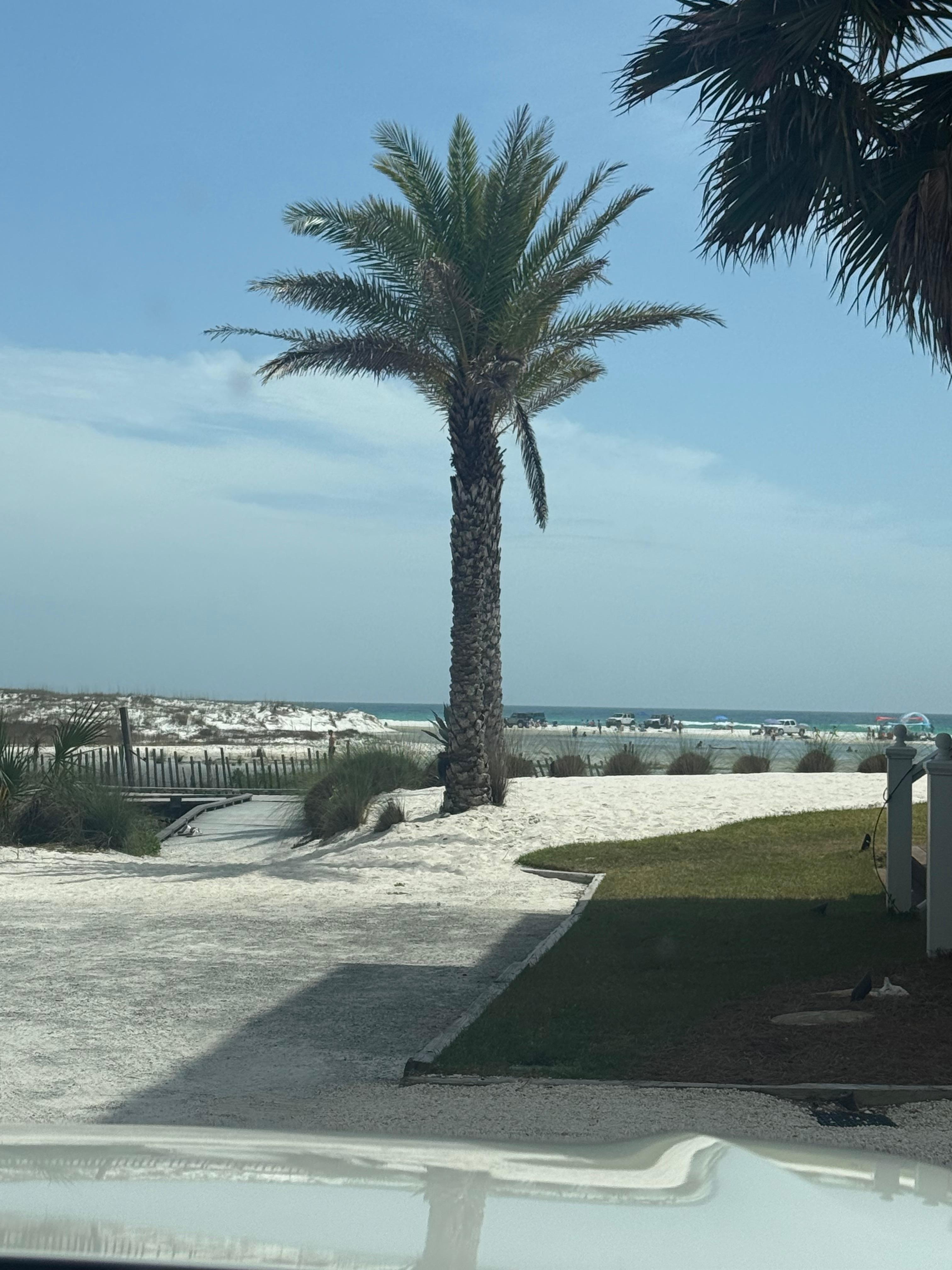 View from front porch in AM