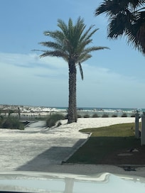 View from front porch in AM