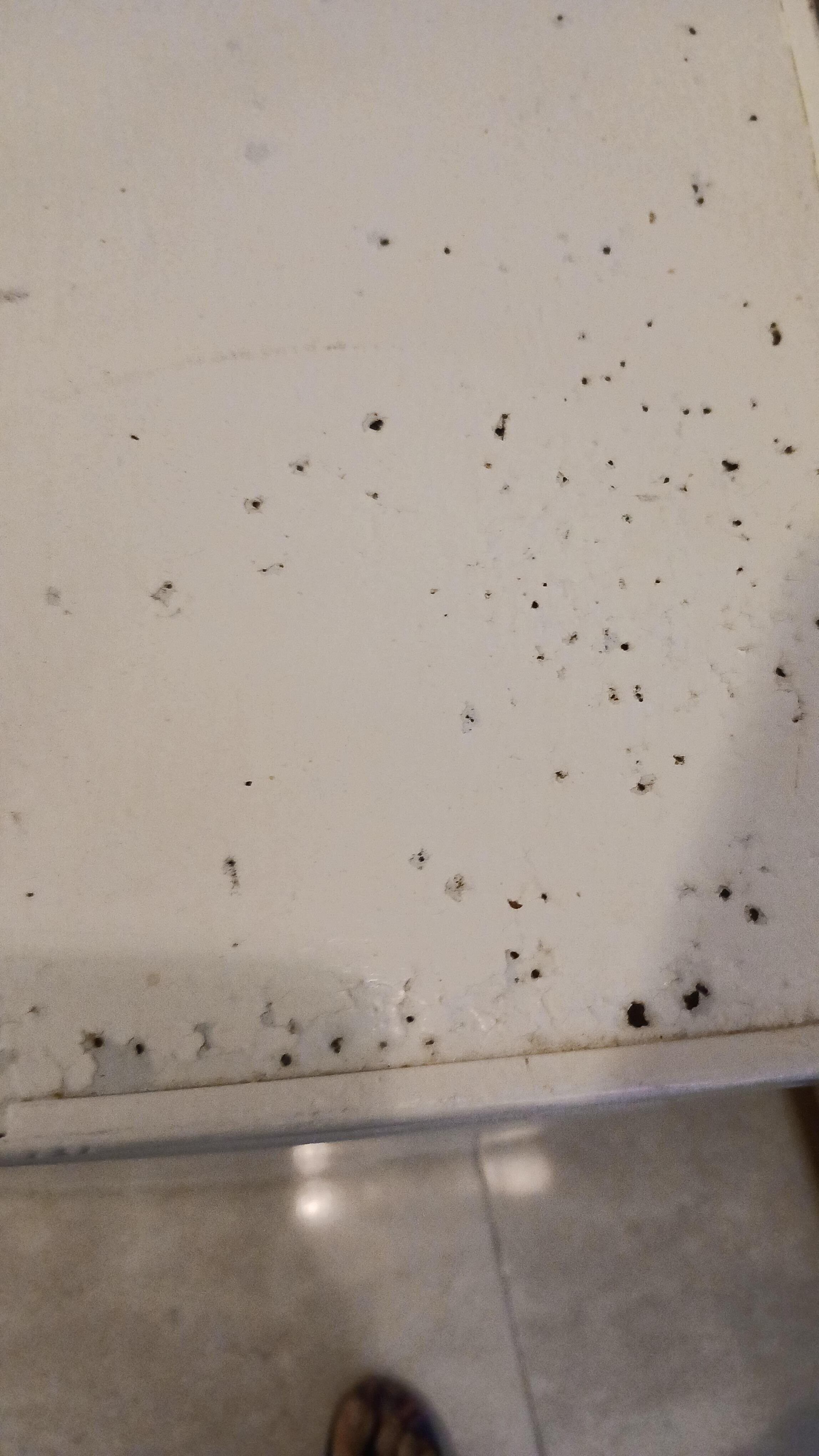 Refrigerator full of mildew and corroted.