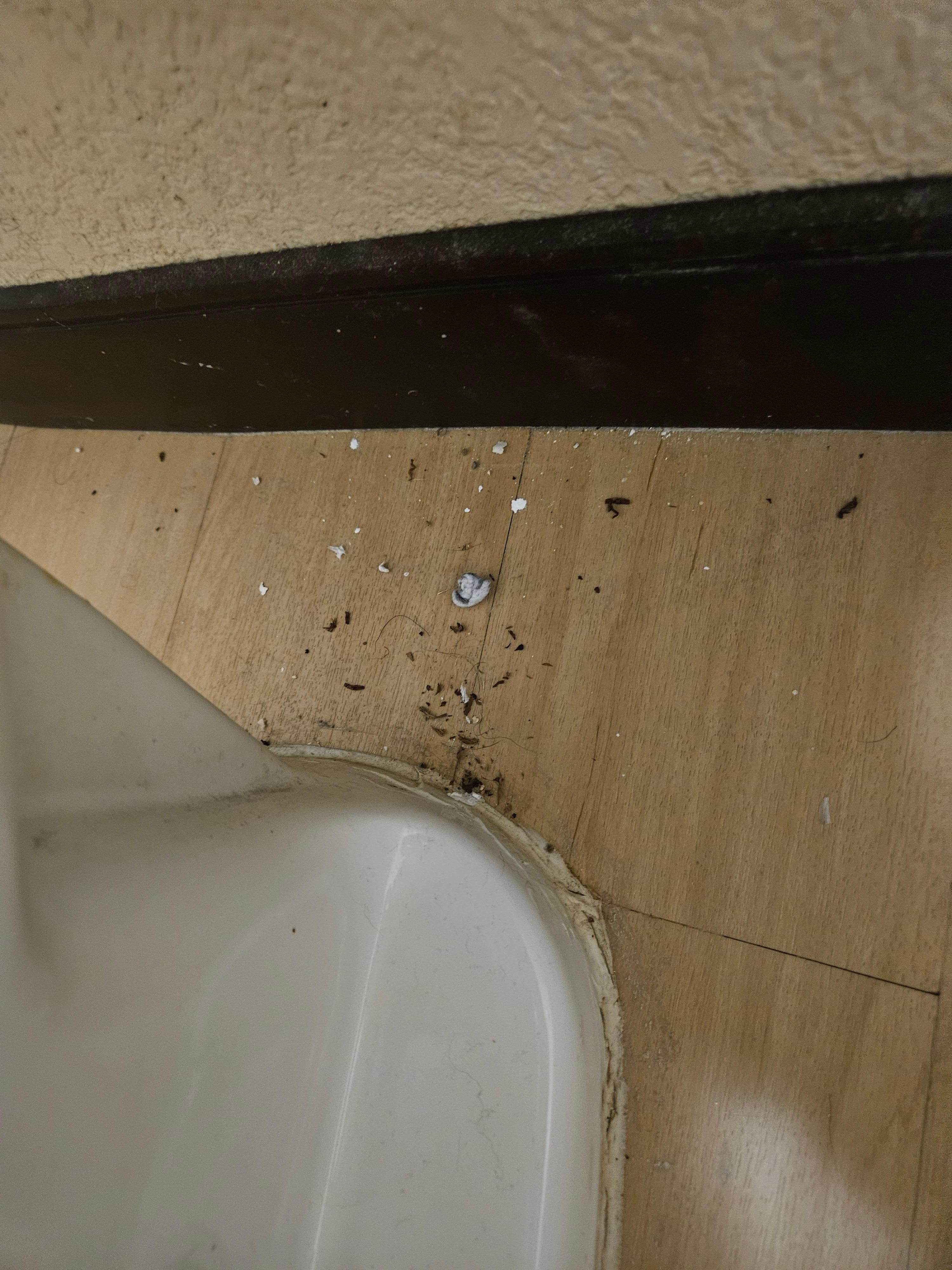 Not sure what this is behind the toilet