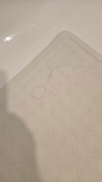 Hair on 'clean' shower mat