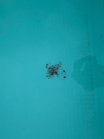Bilder vom Pool