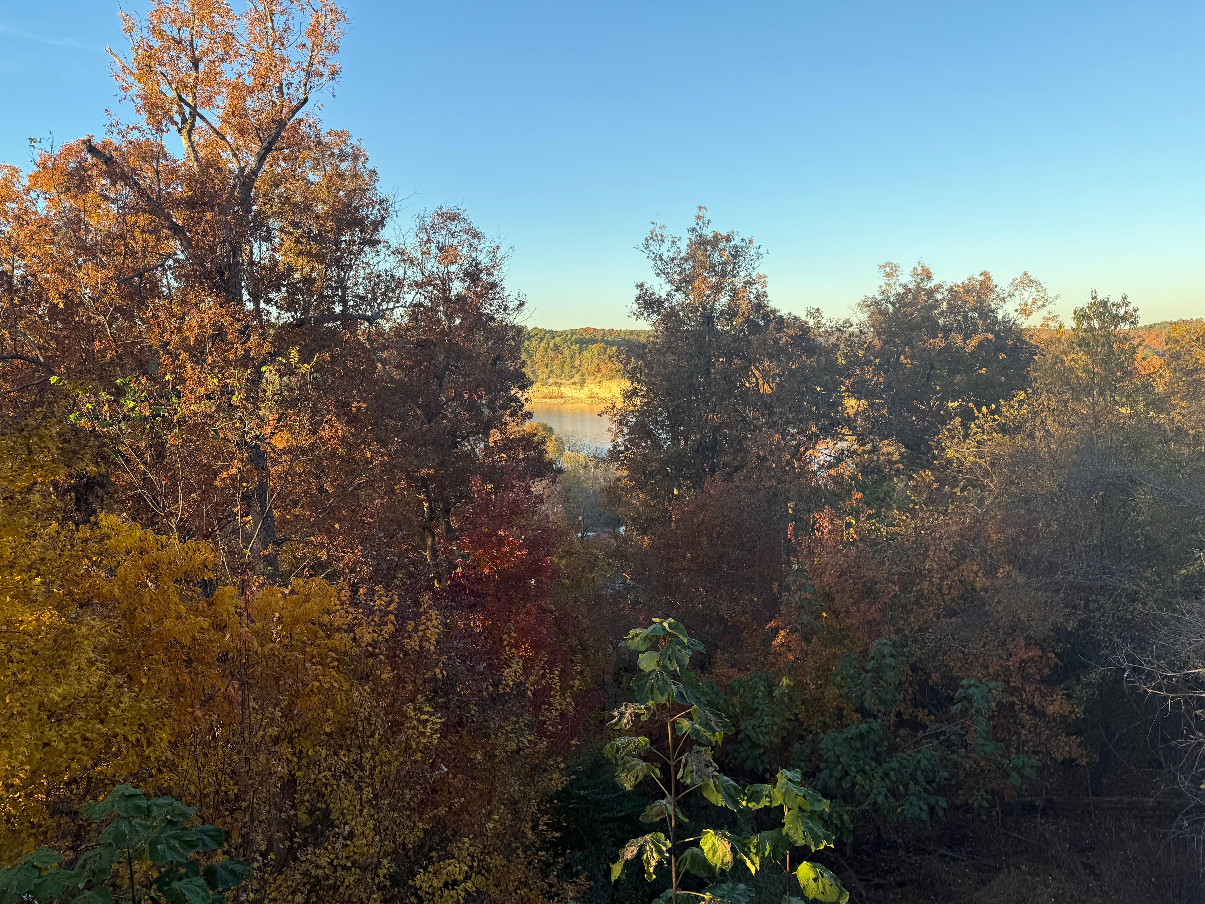 Initial view before the leaves had fallen
