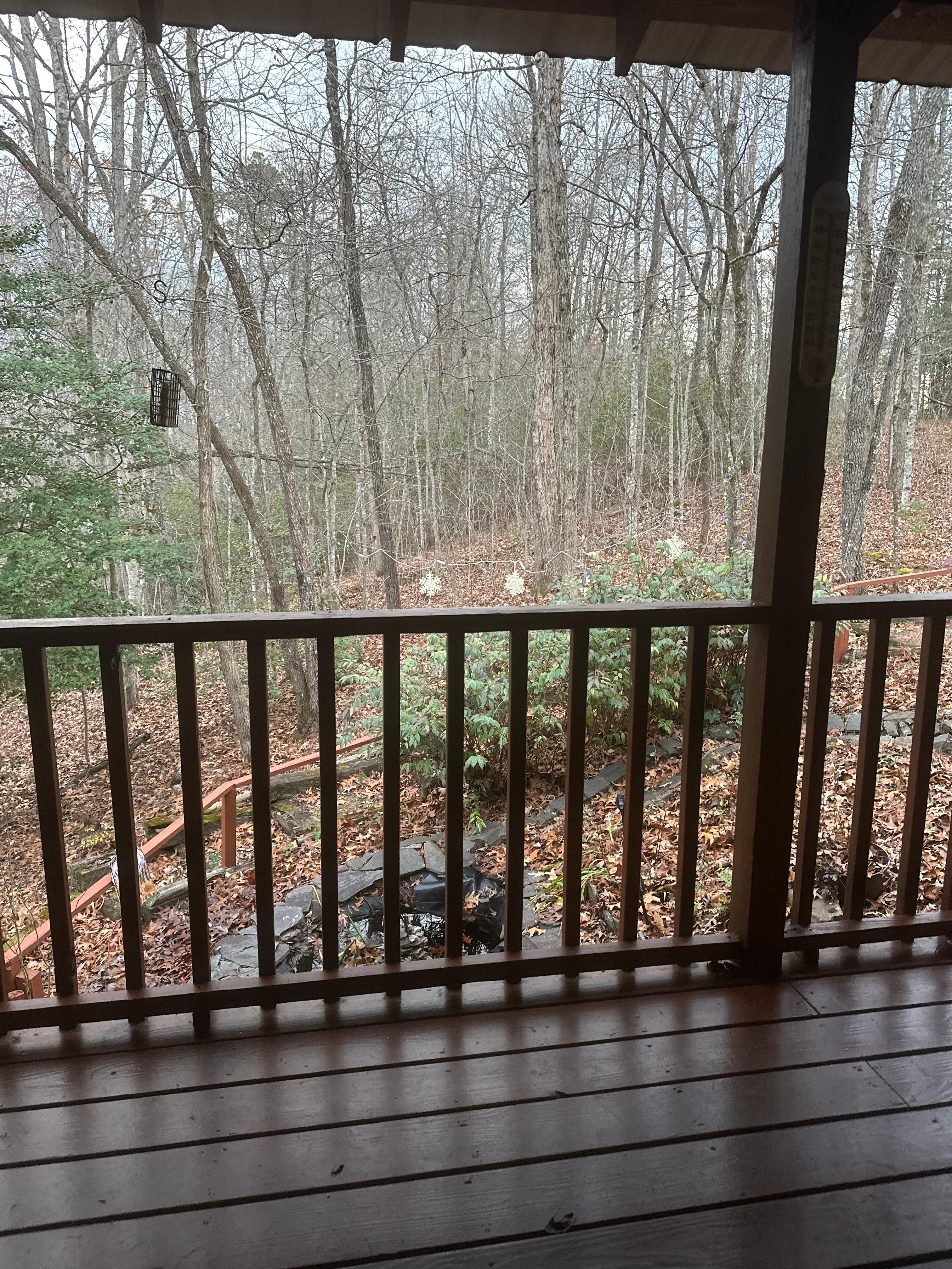 Back porch, deer and squirrels present