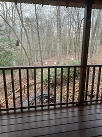 Back porch, deer and squirrels present
