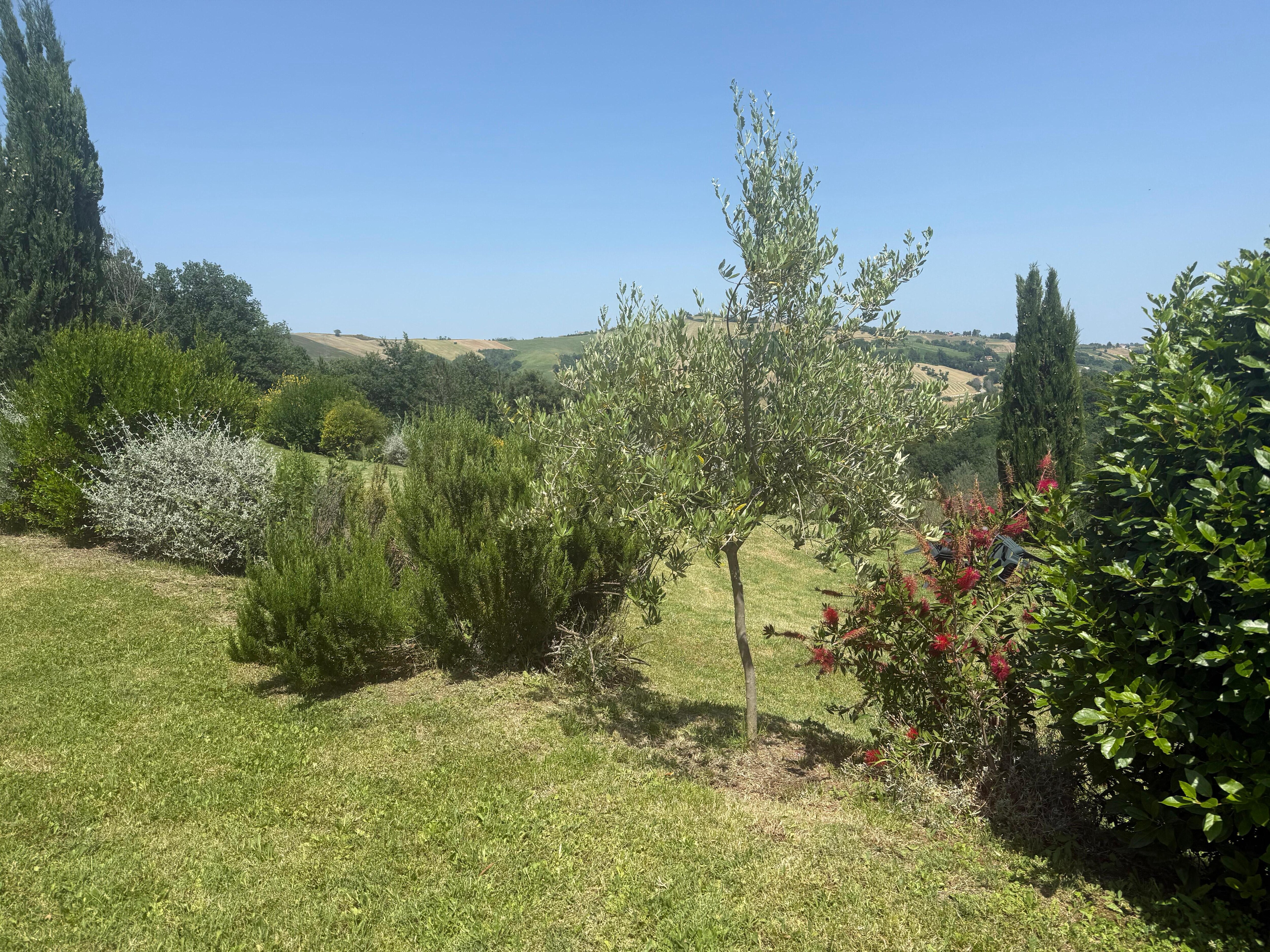 Peaceful country living
