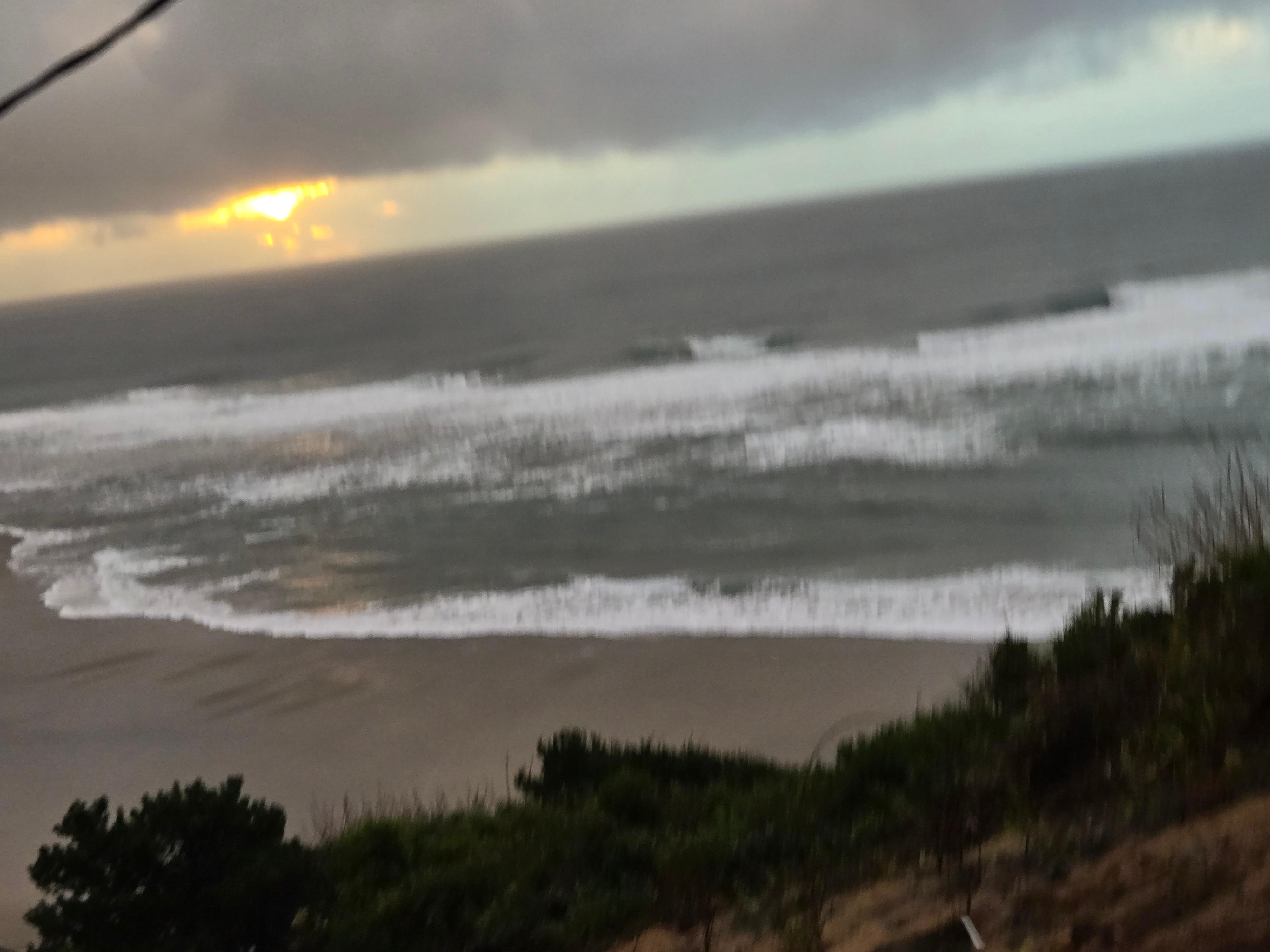 View from kitchen/living area