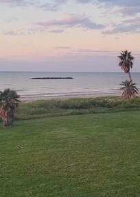 View from the front porch - so serene.