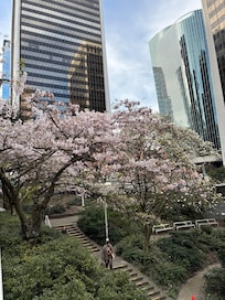 Downtown