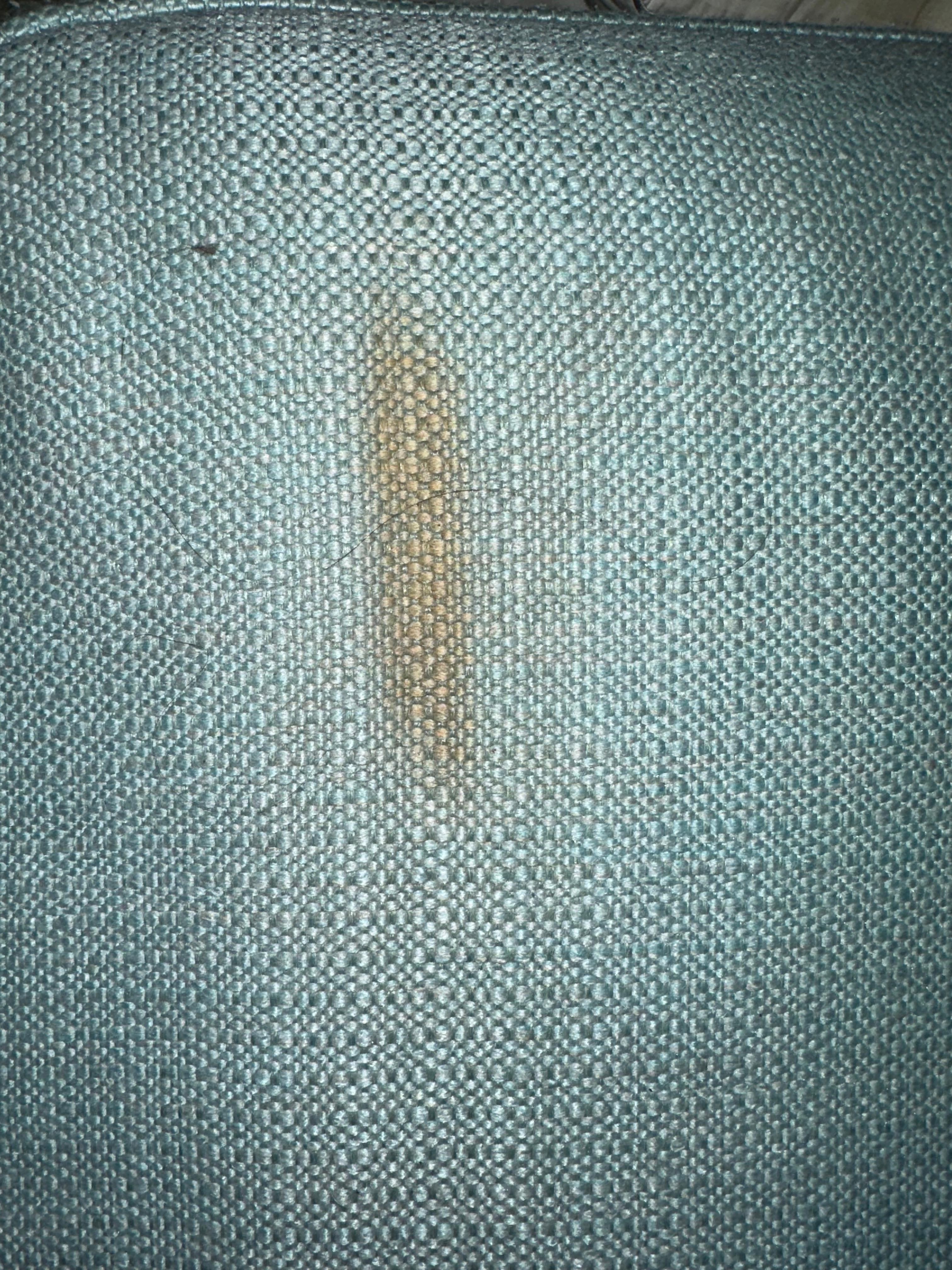 Stains on couch cushion