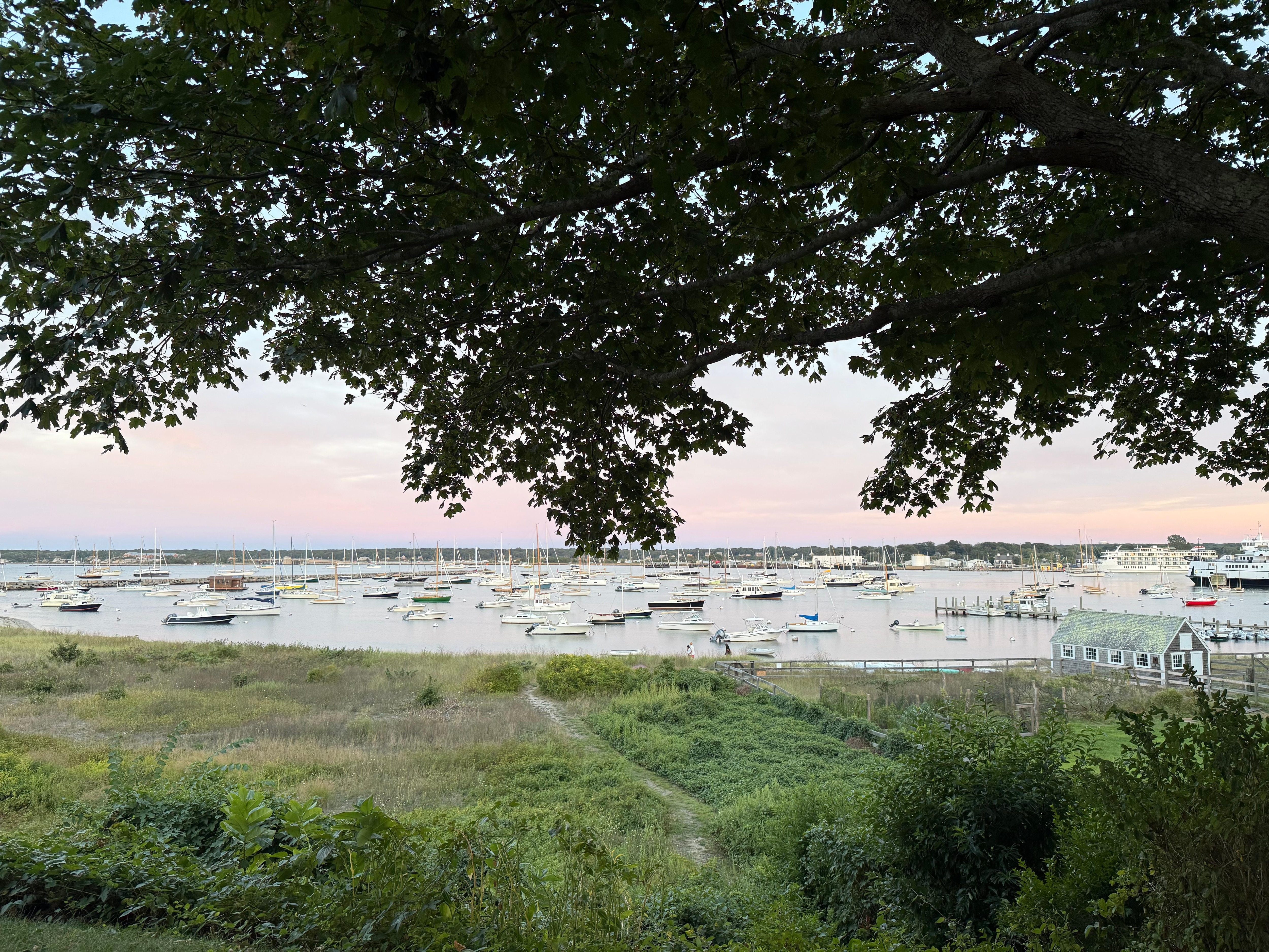 Our view of the water from the backyard 😍