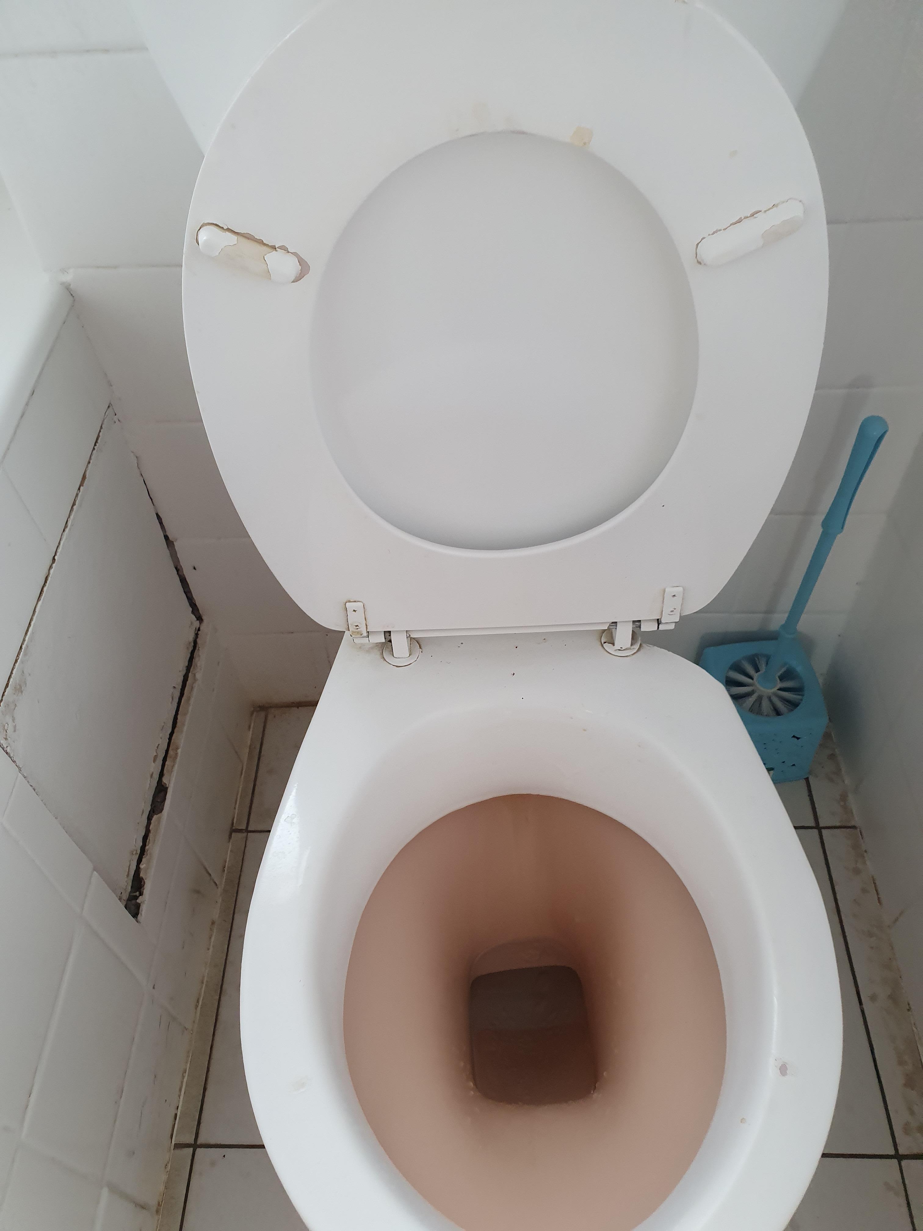 Fithy toilet and walls