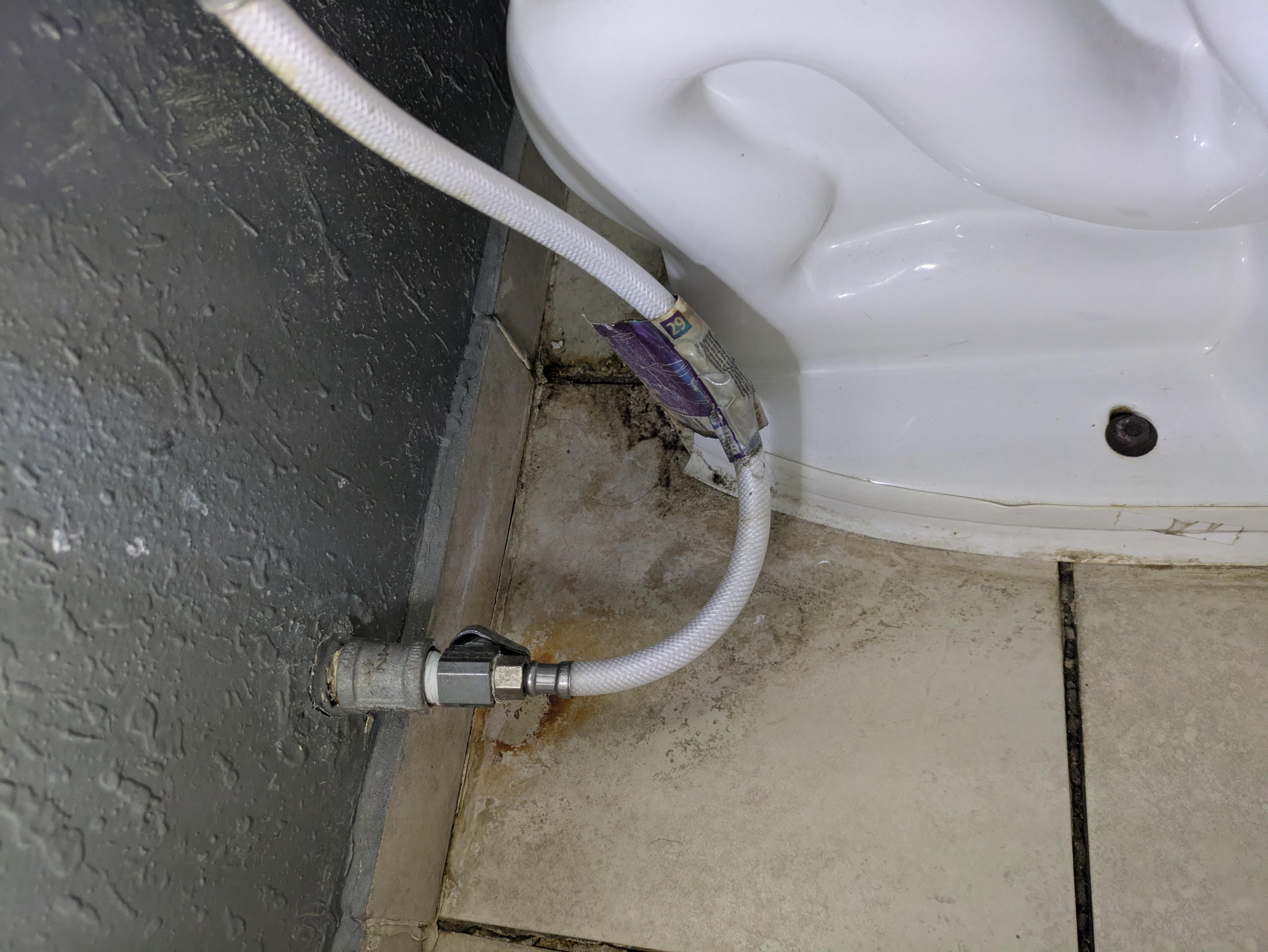 Just a hint at the atrocious bathroom. Don't walk here, the floor is soft and the toilet is loose.