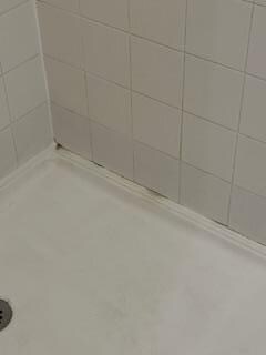 Mildew in shower